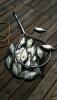 image96.jpeg