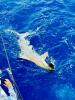 image_50767873.JPG
