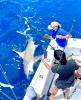 image_50772225.JPG