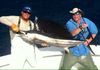 islamorada_sailfish_11-9.JPG
