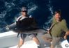 islamorada_sailfish_fishing_picture.JPG