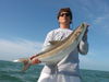 jewfish_001.jpg