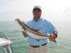 jewfish_002.jpg