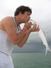 jewfish_008.jpg