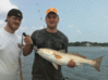 june-rb-19.gif