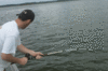 june-rb-2.gif