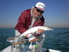 kencollettepix_019.jpg