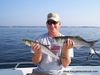 ladyfish1.jpg