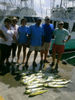 mahi-mahi-photo.jpg