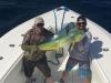 mahi2.jpg