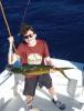 mahimahimahi.jpg