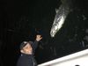 massimo-caught-7-tarpon-in-two-trips.jpg