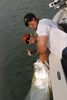 naples_fishing_tarpon1.JPG