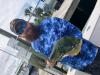 new_smyrna_beach_offshore_fishing_charters__2_.JPEG