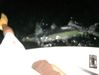 nightime_tarpon.JPG