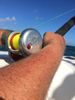 offshore_fishing_report_ponce_inlet.JPG