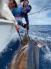 offshore_marlin_fishing_panama.jpg