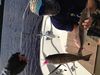 photo_85_.JPG