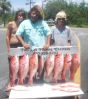 pictures_from_black_mem_stick_027.jpg