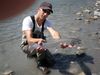 pittriver66kadetrout2.JPG