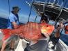 ponce_inlet_daytona_beach_offshore_fishing_charters__4_.jpeg