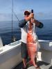 ponce_inlet_fishing_charters.JPEG