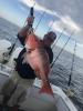 ponce_inlet_offshor_fishing_charters.jpeg