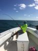 ponce_inlet_offshore_deep_sea_fishing_charters.JPG