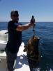 ponce_inlet_offshore_deep_sea_fishing_charters__3_.jpg