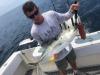 ponce_inlet_offshore_fishing_charter.JPEG