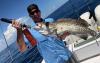 ponce_inlet_offshore_fishing_charters.jpeg
