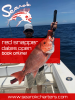 ponce_inlet_offshore_fishing_charters__1_.png