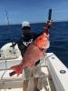 ponce_inlet_offshore_fishing_charters__1_1.JPEG