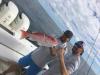 ponce_inlet_offshore_fishing_charters_deep_sea__6_.JPG
