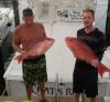 ponce_inlet_offshore_fishing_report_charters.jpg