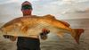 redfish-fishing-charters-georgia.jpg