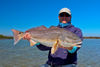 redfish-on-fly-tampa.jpg