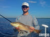 redfish-on-fly2.jpg