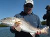 redfish11.jpg