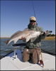 redfish_0809-a03.jpg
