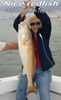 redfish_caught_11_7_08.jpg