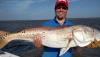 redfish_georgia_sport_fishing_charters.jpg