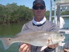 redsnook_019.jpg