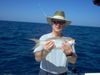 resizedJimBasara-19in-yellowtail.JPG