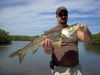 resizedMarkMurphey-32-5in-snook-2.JPG