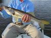 rich_snook_2.JPG