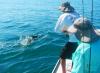 rodney_fights_tarpon_6218.jpg