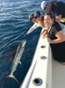 sailfish16.jpg
