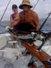 sailfish2.jpg