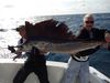 sailfish_001_1_.JPG